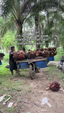 Aaminn🤲🏻 #kulisawit #tiktokfyp #lewatberanda #fyp 