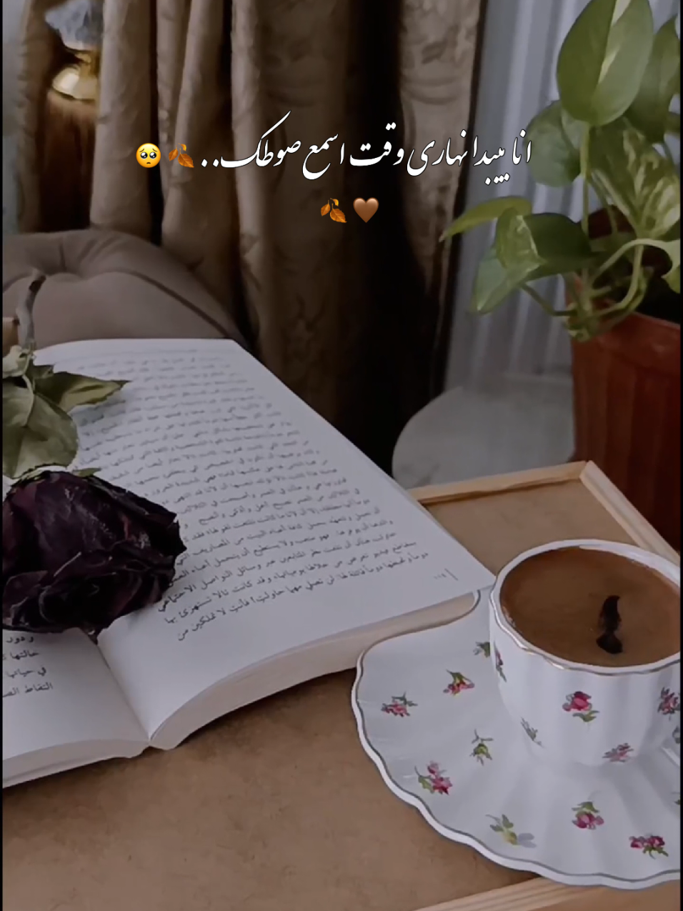 صباحي رزق وفرحه ماتفارق القلب 🤍🌹 #بيان #تصويري📸 #تركيا🇹🇷اسطنبول #رواقي_جوي_تصويري_تصميمي👌🏻🌸 #شعب_الصيني_ماله_حل😂😂 