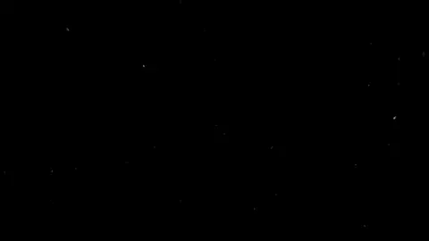 MOOO! — Doja Cat 🙂‍↔️🎶 #phonkmusic #mytypemusic #slowedsongs #speedsongs #dreamoin 