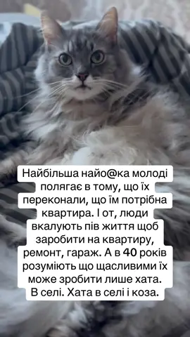 Хата в селі #жартиукраїнською #гуморукраїна #роботадляукраїнців #хата #селоілюди 