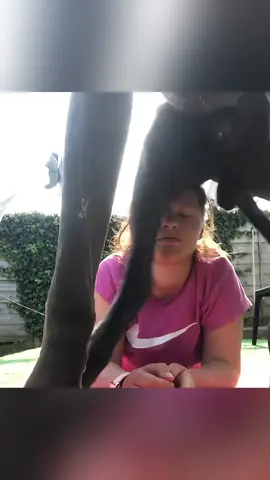 When a dog suddenly bursts into the shot... 😂🐶🤣#dog #funny #TikTok #foryou #fyp 