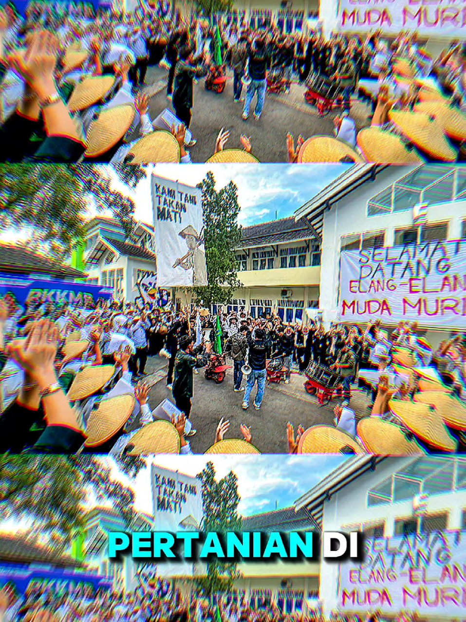 Agriculture is Our Soul!!! #fakultaspertanian #pkkmbumk2025 #universitasmuriakudus #mabaumk2025 #fyp