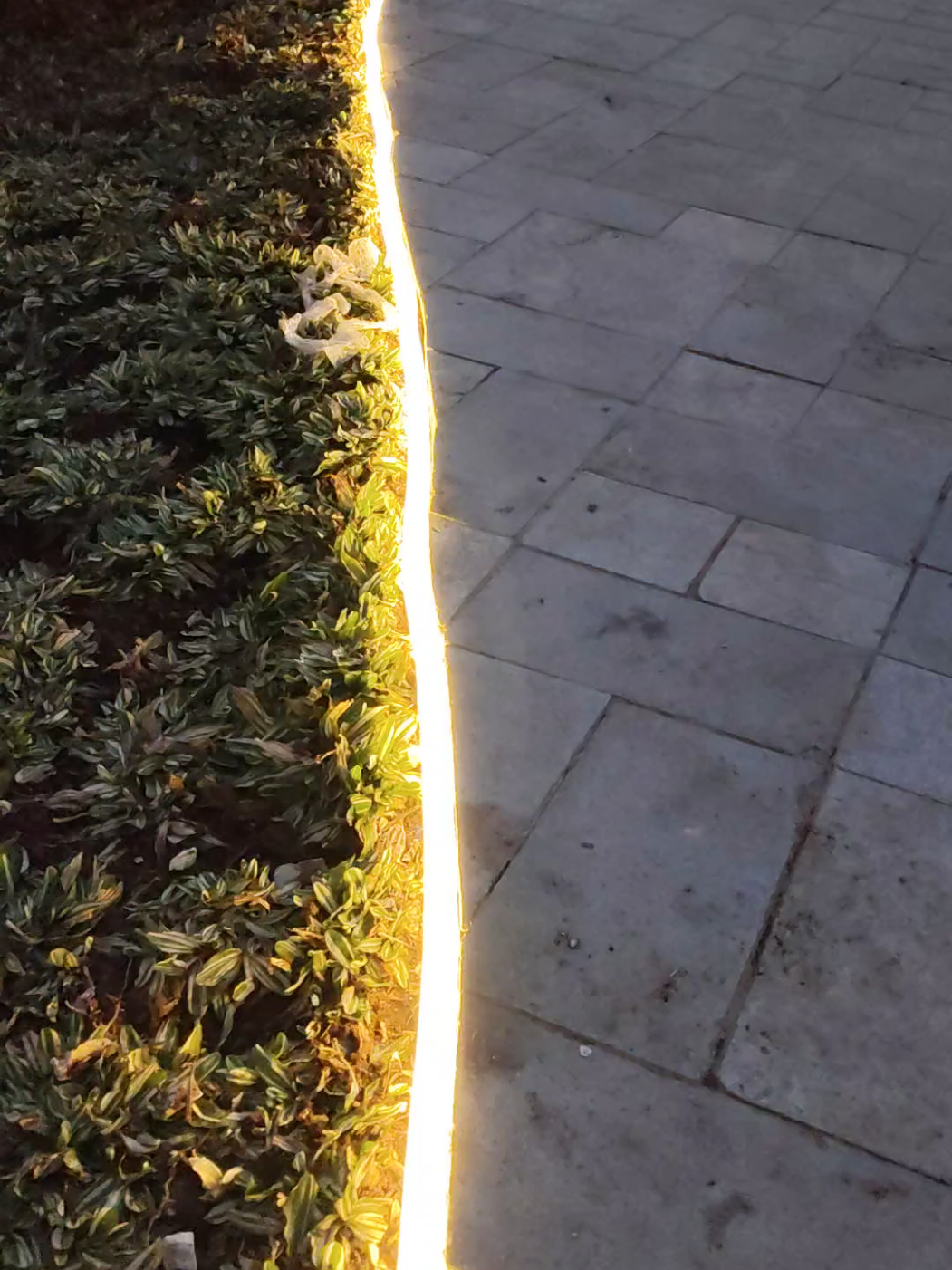 promo lampu neon flexsibel #tiktokviral #lampuneonflexsibel #lampu #lighting #fyp 