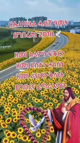 #duet with @ኩሉ ከም ፍቃድካ🙏❤️ 