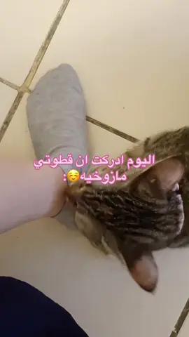 #قطوتي_مازوخيه #مازوخيه#صدمه