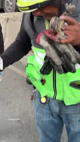 🔴#ATENCIÓN🔴Casi como un milagro🥺Celular quemado permitió contactar a familia de estudiante h€r1da tras €xpl0sión en #Iztapalapa. Un celular casi derretido fue encontrado sonando entre las pertenencias calcinadas de una persona tras la explosión de una pipa de gas en el Distribuidor Vial La Concordia en Iztapalapa, se trataban de los padres de una joven que resultó herid4 durante el accidente. Esta llamada permitió a los padres saber del estado de su hija, dar un rayo de esperanza y la tranquilidad de pronto saber donde se encuentra.