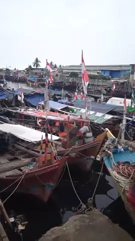sabar tek tonggoni #muara celingcing