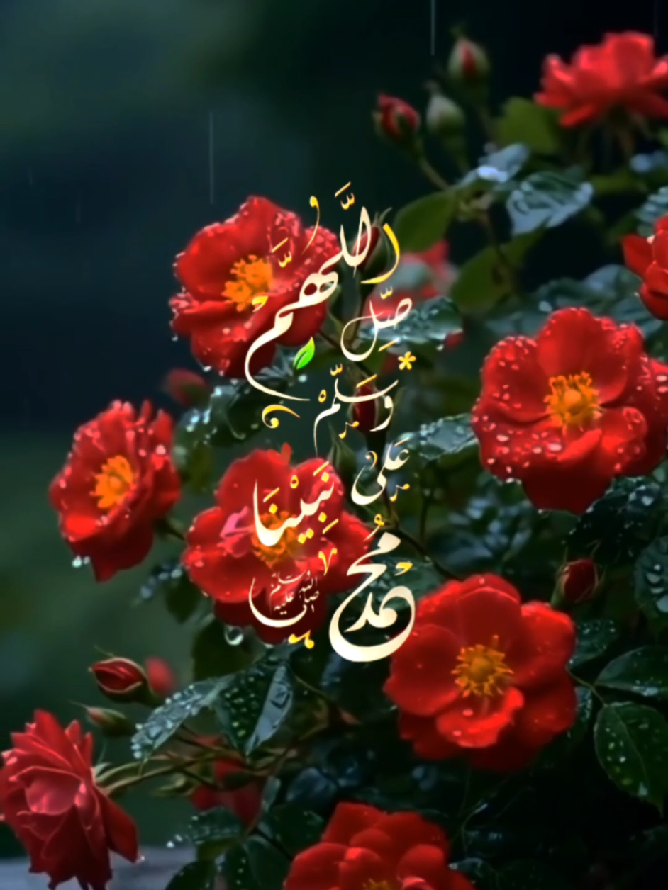 إن الله وملائكته يصلون على النبي يا أيها الذين آمنوا صلوا عليه وسلموا تسليما #سعد_الغامدي #سورة_الاحزاب #جمعة #قران #quran 