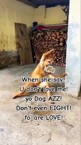 #CapCut 