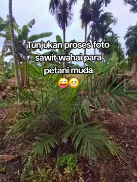 #🌴🌴 #fyp #katakata #sawitontiktok 