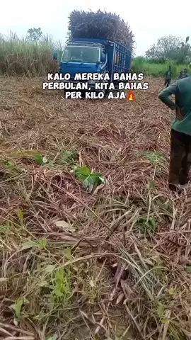 #CapCut oke baik 