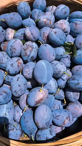 OMG #fruit #asmr #happy #freshfruit #uktiktok 