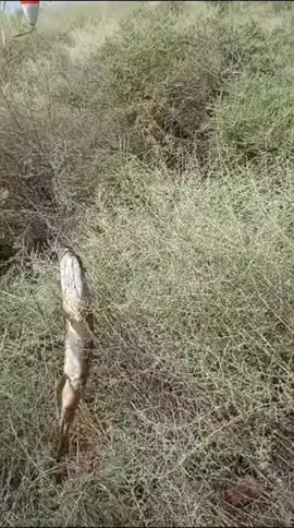 #bugün 