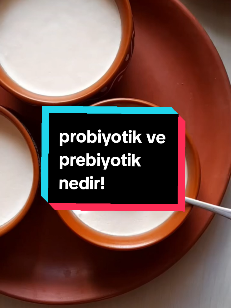probiyotik ve prebiyotik arasındaki farkı Biliyormusun!