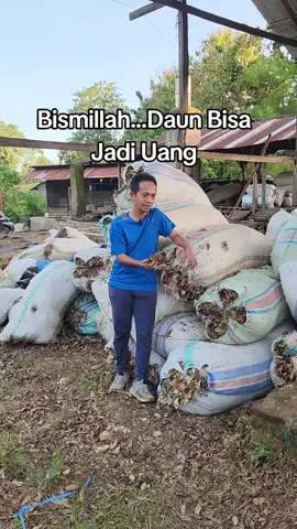 Ayo terus gerakkan ekonomi masyarakat. Agar bisa terus mandiri dan berdaya sain #EkonomiKerakyatan #KemandirianEkonomi #PonpesAgrobisnis