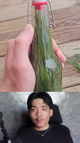 โซดาใบสน