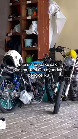 #bmps #mpmixmax #herexjatim #herexjember @BMPS 