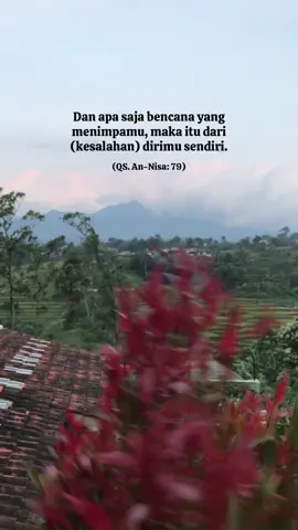 An-Nisa #annisa #alquran #fyp