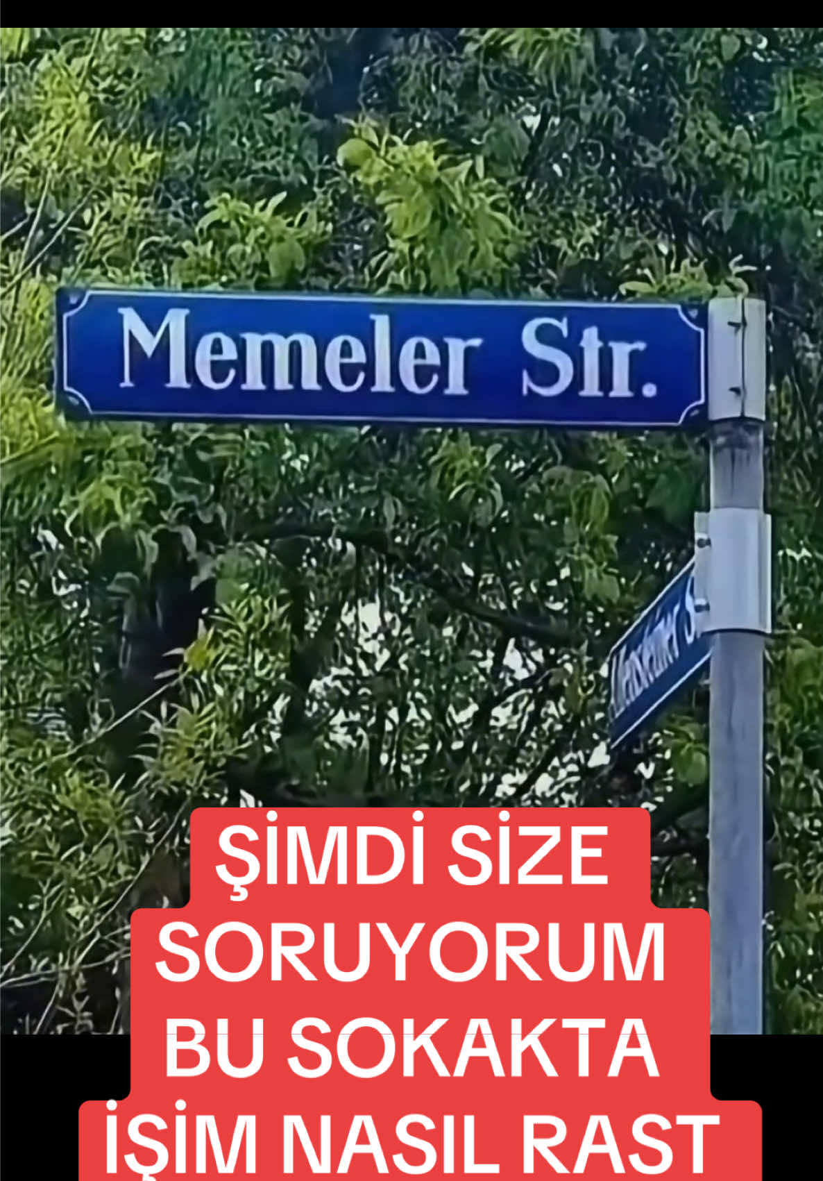 🙄#fyp 