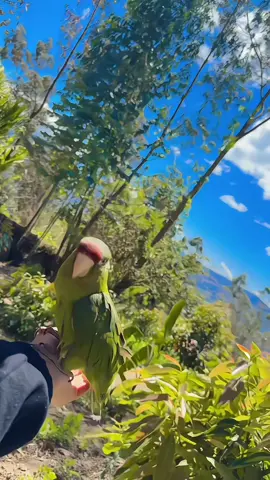 #holacomoestas  #paisaje  #lugarmagico  ✨️🥳☀️