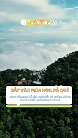 Biển mây VQG Ba Vì 11/09/2025 _________________#vuonquocgiabavi #teamthodiabavi #hangthodiabavi #thodiabaviofficial #thodiabavi 