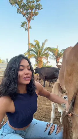 Quem pode ajudar ? 🥹