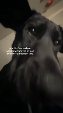 every morning on the dot
