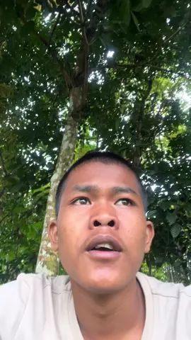 Sarare deui wenn