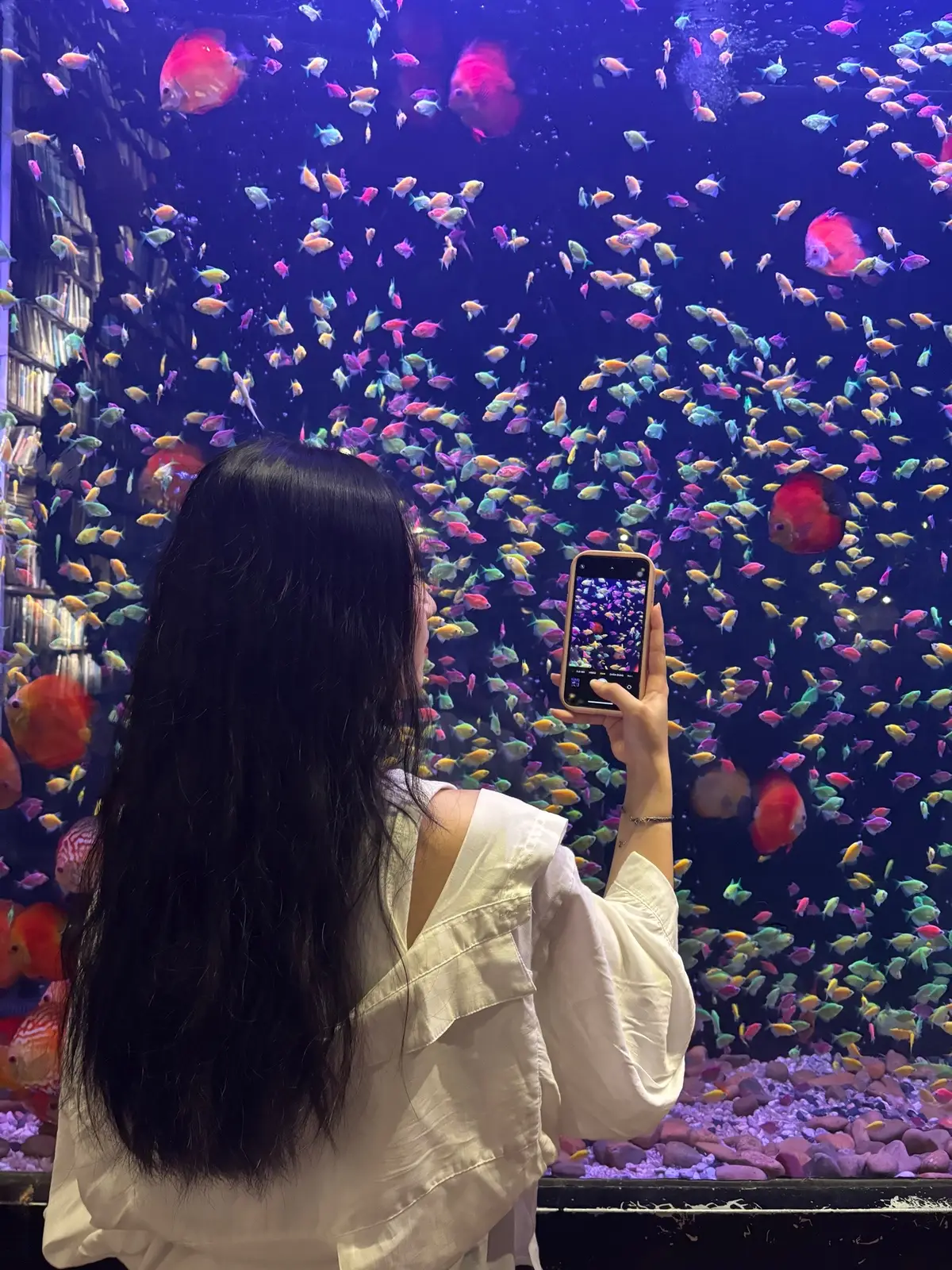 Có đôi điều…….✨ #codoidieu #ngamcoffee #viral #xuhuong