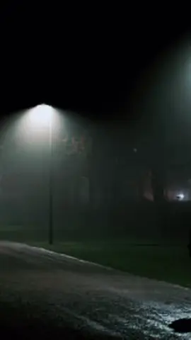 Standing alone at night, I found the silence wasn’t empty—it was filled with strength I never knew I had.