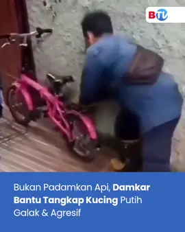Kucing putih berulah, damkar pun turun tangan 😭👏🏻 📺 Saksikan Dikit Dikit Damkar, Senin - Jum'at pukul 15.00 WIB hanya di BTV! #DikitDikitDamkar  #BTV 