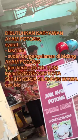 dicari karyawan buat jualan ayam lokasi ponorogo #ayampotongponorogo #lokerponorogo #lowongankerjaponorogo #ponorogo #tenagakerja 