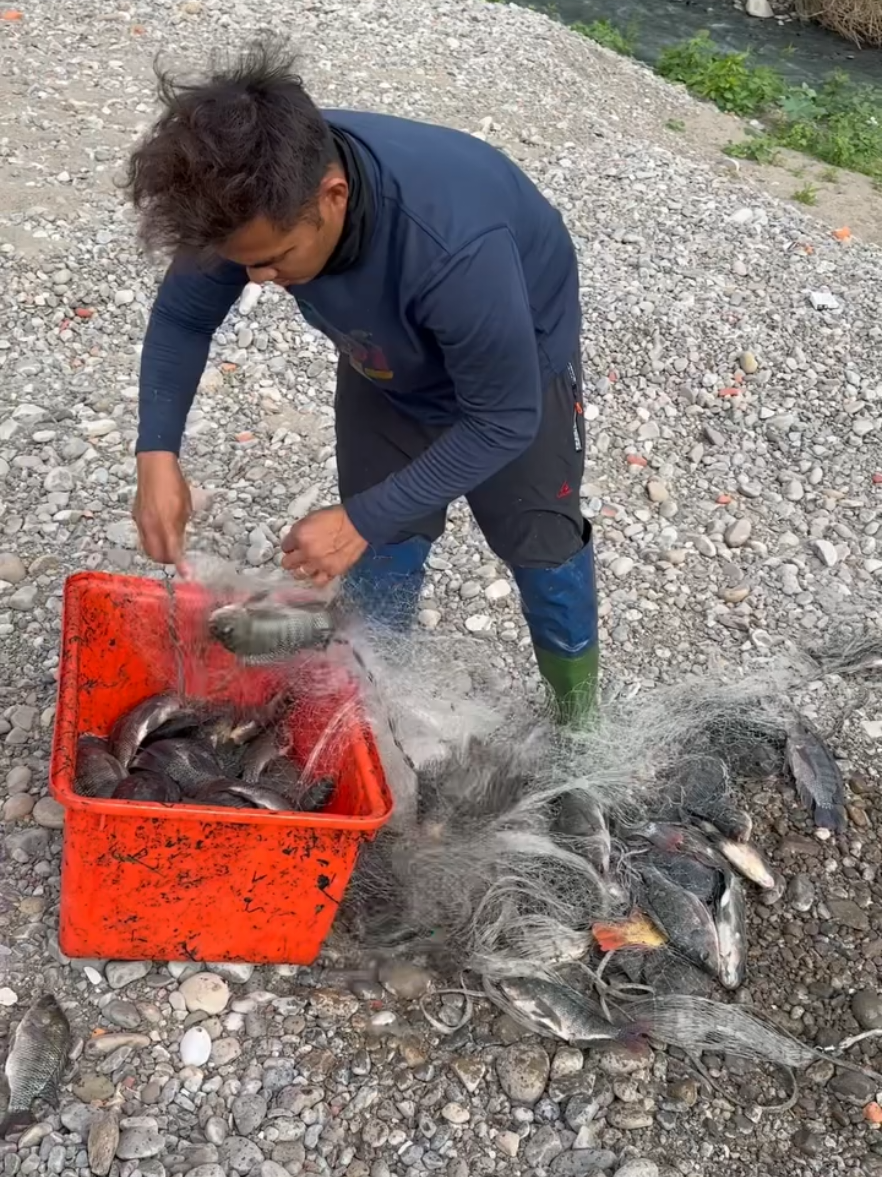 #netfishing #handfishing #ruralfishing #fishing 