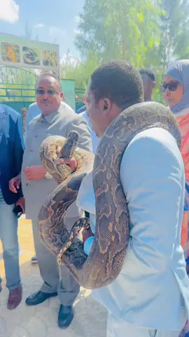 #darsalam @General zuuga🏹🫡 @Ubah Dhiblawe @Muna Mahad @General Ali🏹🦁 @KIIN ARAGSAN🇸🇴🦍 @JIINI BOY @Abshir hussein🇸🇴🇸🇴❤️ @mulki maanka 