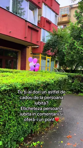 #florariebrasov #surprize #comenzifloribrasov #florarieonline #livrarifloribrasov @florariebrasov.ro 