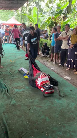 Pembarong perempuan cantik#ebegcilacap🐴🐴 #barongan #fyppppppppppppppppppppppp #fypage #xybca 