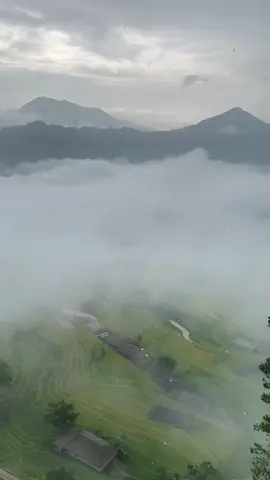 Hoàng Su Phì ngày mưa #hoangsuphi #canhdep #thiennhien 