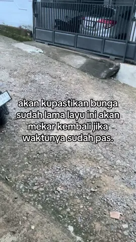 Bunganya lagi di siram agar mekarr#tiktokpalembang #tiktokmuaraenim #muaraenimpride #netherlands🇳🇱 #muaraenim 