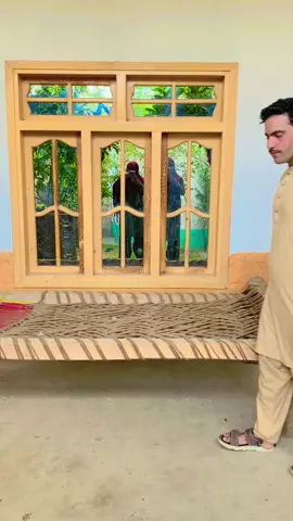 #foryoupage #tiktok #viral #foryou 