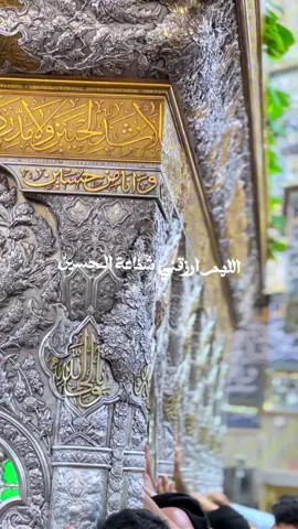 اللهم ارزقني شفاعة الحسين يوم الورود.. وثبت لى قدم صدقاً عندك مع الحسين.. #كربلاء_المقدسة  #ليلة_جمعة  #ميرزا🍂  #اللهم_صل_على_محمد_وال_محمد 