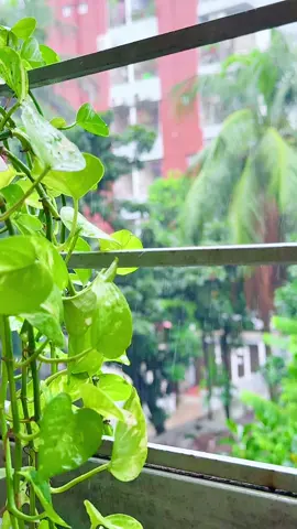পৃথিবীর সবচেয়ে বড় Self Care কি জানেন? #rain #foryoupage #fyp #tiktok #tiktokviral 