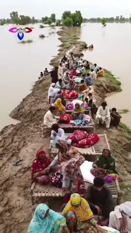 AI flood vlog #PakistanFloods #DroneView #VillageLife #FloodDisaster #ViralVideo 