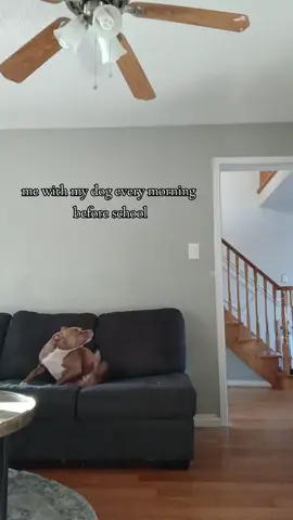 #dog #fyp #puppy #viral #relateable 