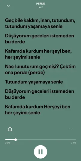Poizi Perde #poizi #perde #spotify #şarkı @Taha_cgl 