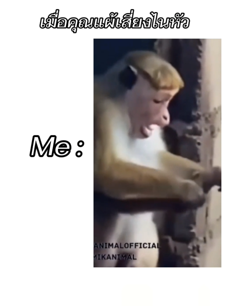 #มีมไทย #มีมตลก #มีม #ยืมลงสตอรี่ได้ #fyp 