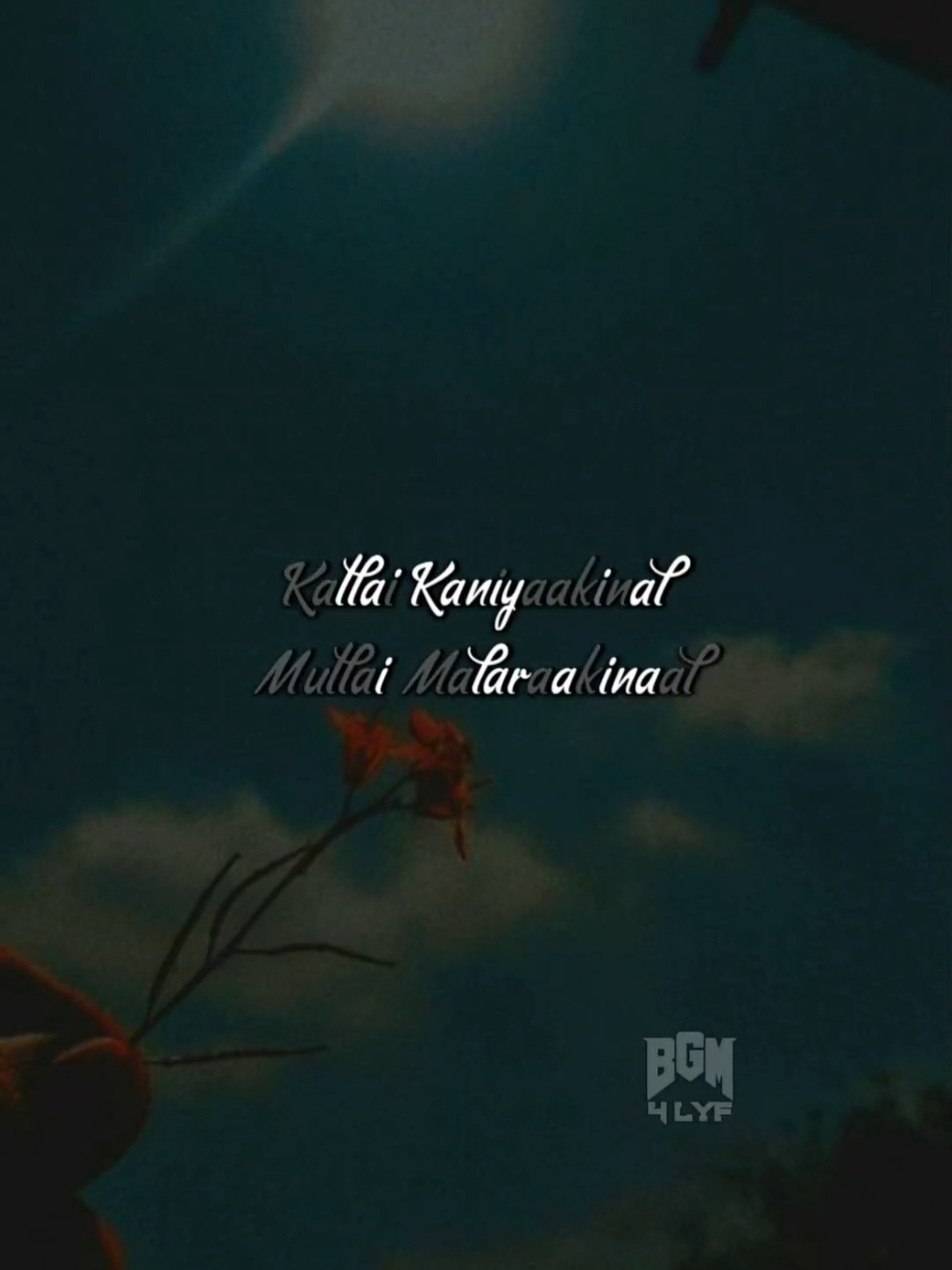 🤞😍🥰🤩{nice remix song put story guys}💞[use this sound]🔊🎶🎧       @vinoth_4lyf      #vinothmagesvaran #bgm4lyf #tamilremix #1millionaudition #fyp 