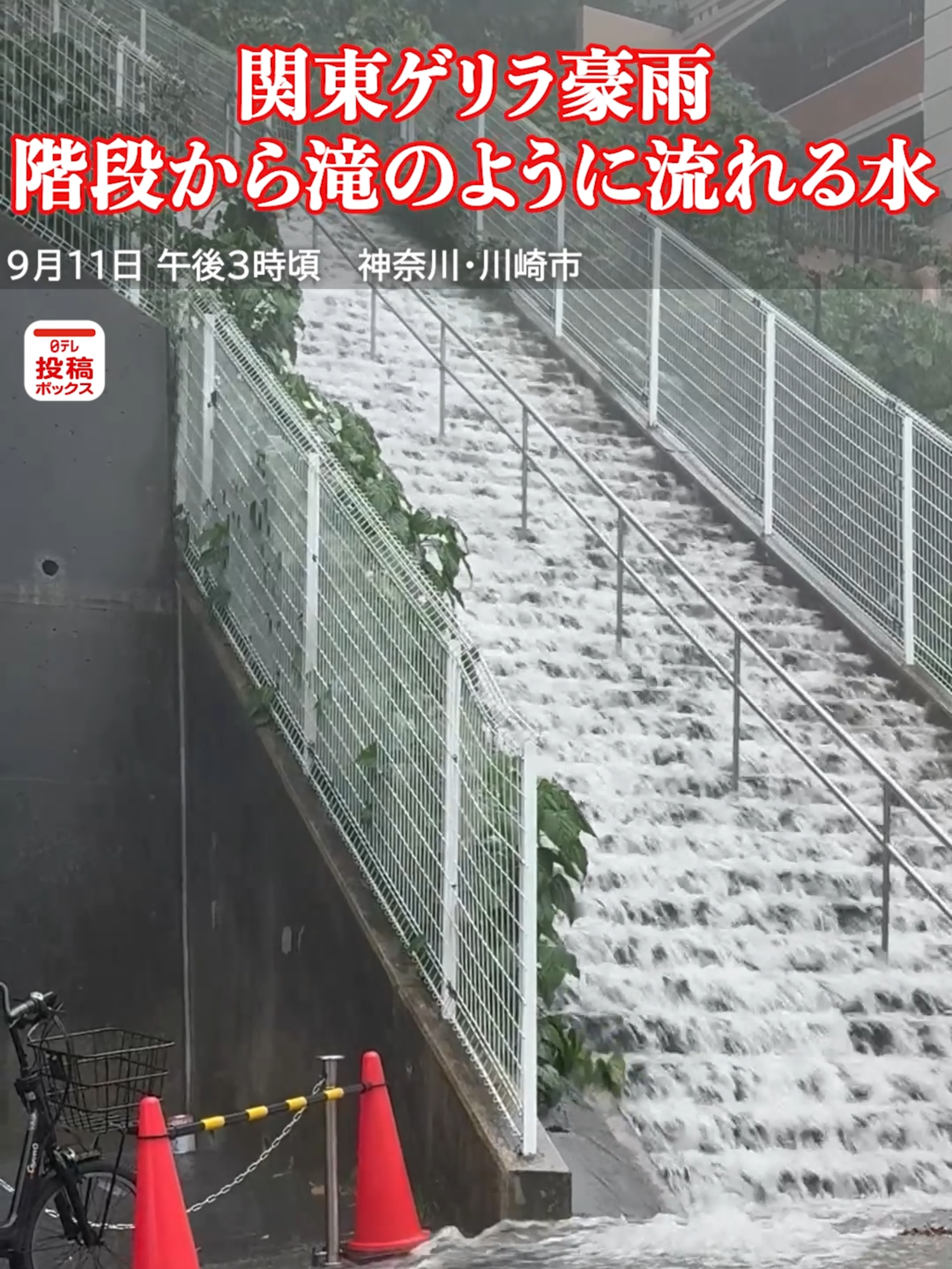 【関東ゲリラ豪雨】階段から大量に流れる雨　神奈川県川崎市で豪雨#tiktokでニュース #日テレnews