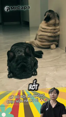 giờ anh có lấy em không sao cứ lòng vòng 🐶👰🤣 so will you marry me or not, why keep beating around the bush 
