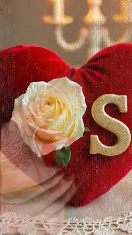 #💯💯💯💯💯💯 #SSSSSSS #💯💯💯💯💯💯 #SSSSSSS 
