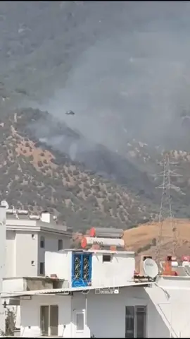 Aydın'ın Efeler ilçesi Danişment Mahallesi'nde meydana gelen yangına ekipler hızlıca müdahale ederken, ekiplere 2 uçak ve 4 helikopter havadan destek verdi.  #aydın #efeler 